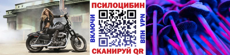 где купить наркоту Сокол Галлюциногенные грибы GOLDEN TEACHER