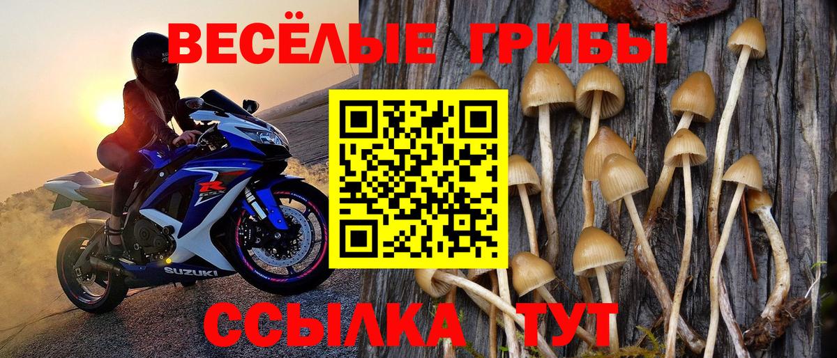 Псилоцибиновые грибы мицелий  Галлюциногенные грибы MAGIC MUSHROOMS  Вход с VPN  Сокол 