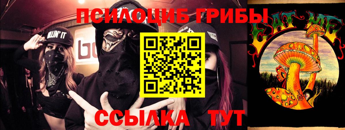 Галлюциногенные грибы GOLDEN TEACHER Сокол